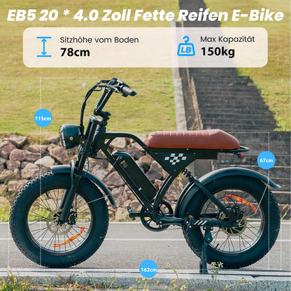Finbike E Bike mit All-Terrain 20 * 4.0 Zoll Fetten Reifen,Elektrofahrrad mit 374.4mAh Abnehmbarem Akku,4 Fahrmodi,PAS Reichweite MAX 100KM,Elektrofahrräder für Herren Damen,E Fahrrad mit 250W Motor